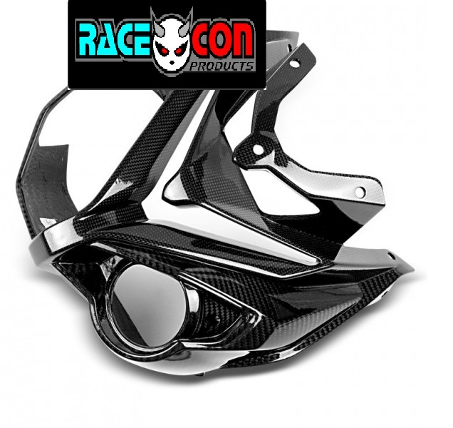 S1000R front nose fairing